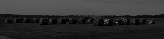 Grass and lawn South Australia