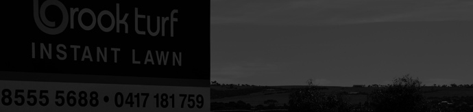 Grass and lawn South Australia