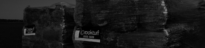 Grass and lawn South Australia