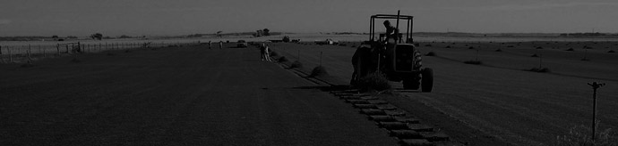 Grass and lawn South Australia