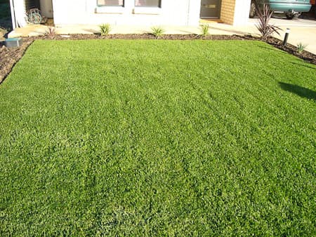Completed residential instant lawn installation