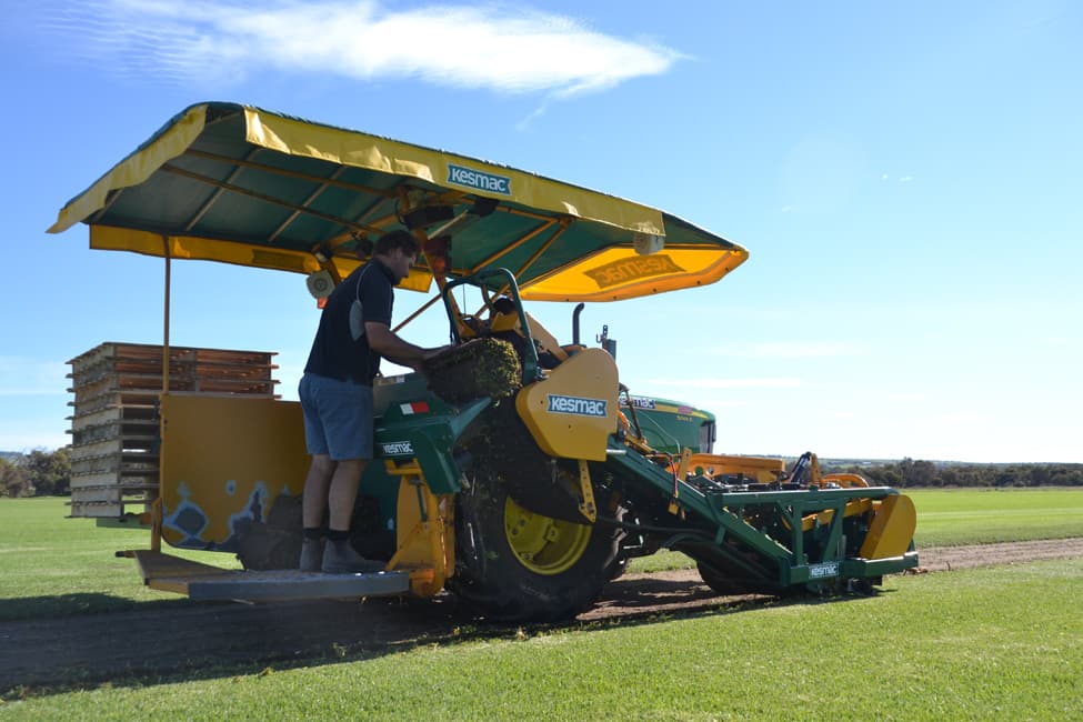 Brook Turf lawn farm South Australia