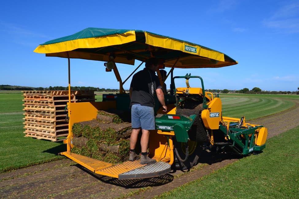 Turf harvesting at Brook Turf farm