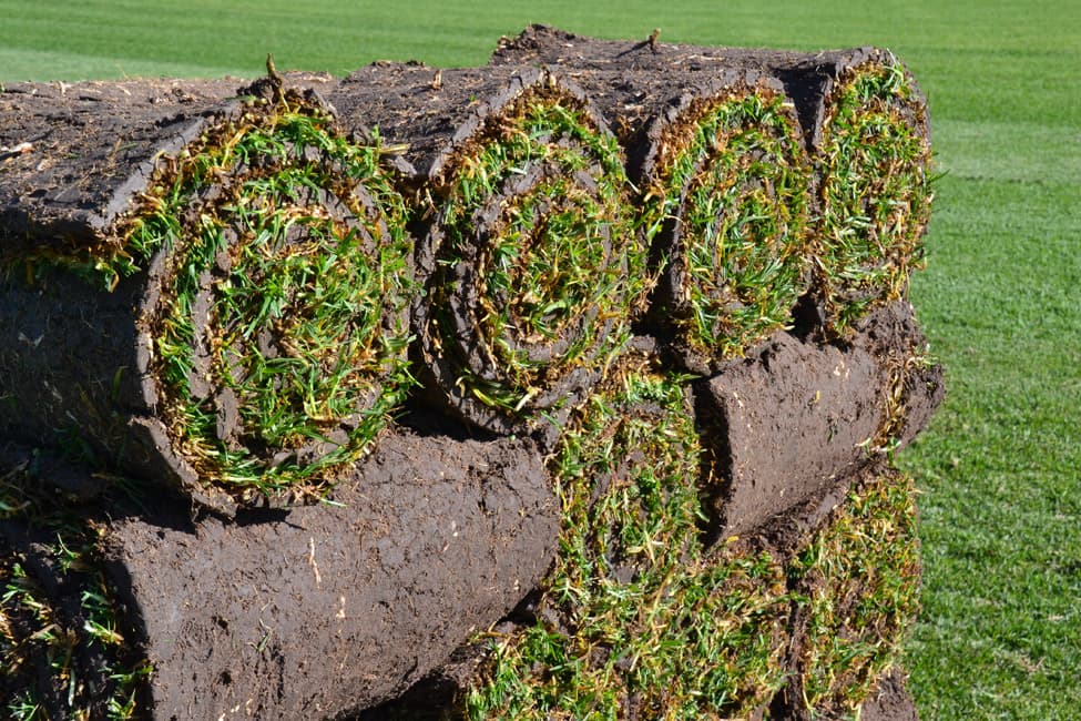 Brook Turf farm fields