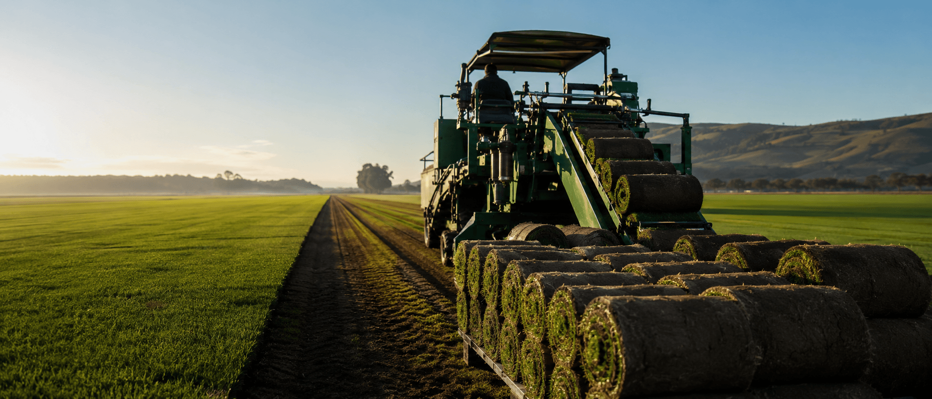 Turf harvester stacking rolls of fresh instant lawn on the Brook Turf farm
