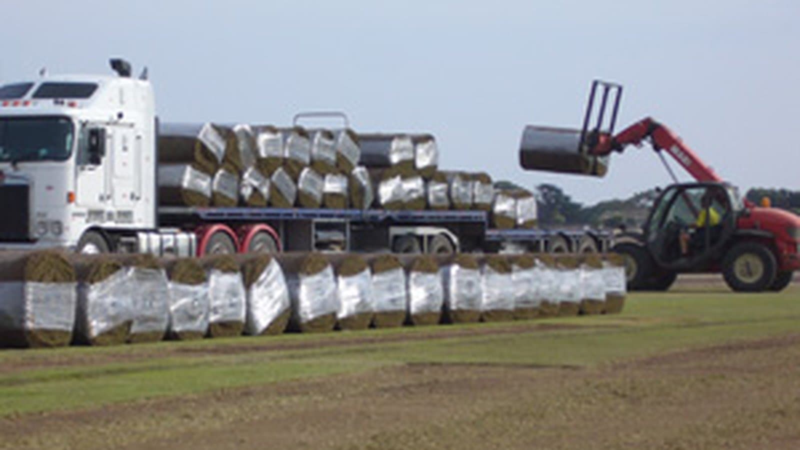 Commercial turf rolls being loaded onto a truck at Brook Turf