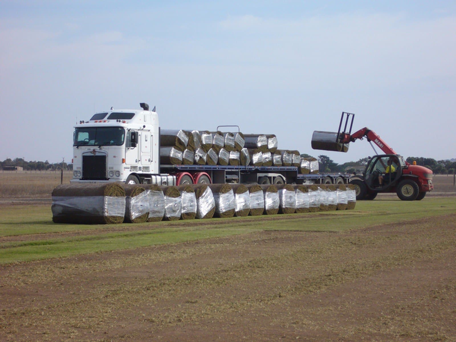 Turf Delivery
