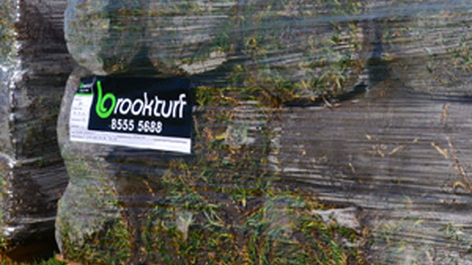 Pallet of fresh Brook Turf instant lawn rolls ready for delivery