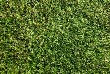 Santa Anna Grass instant turf
